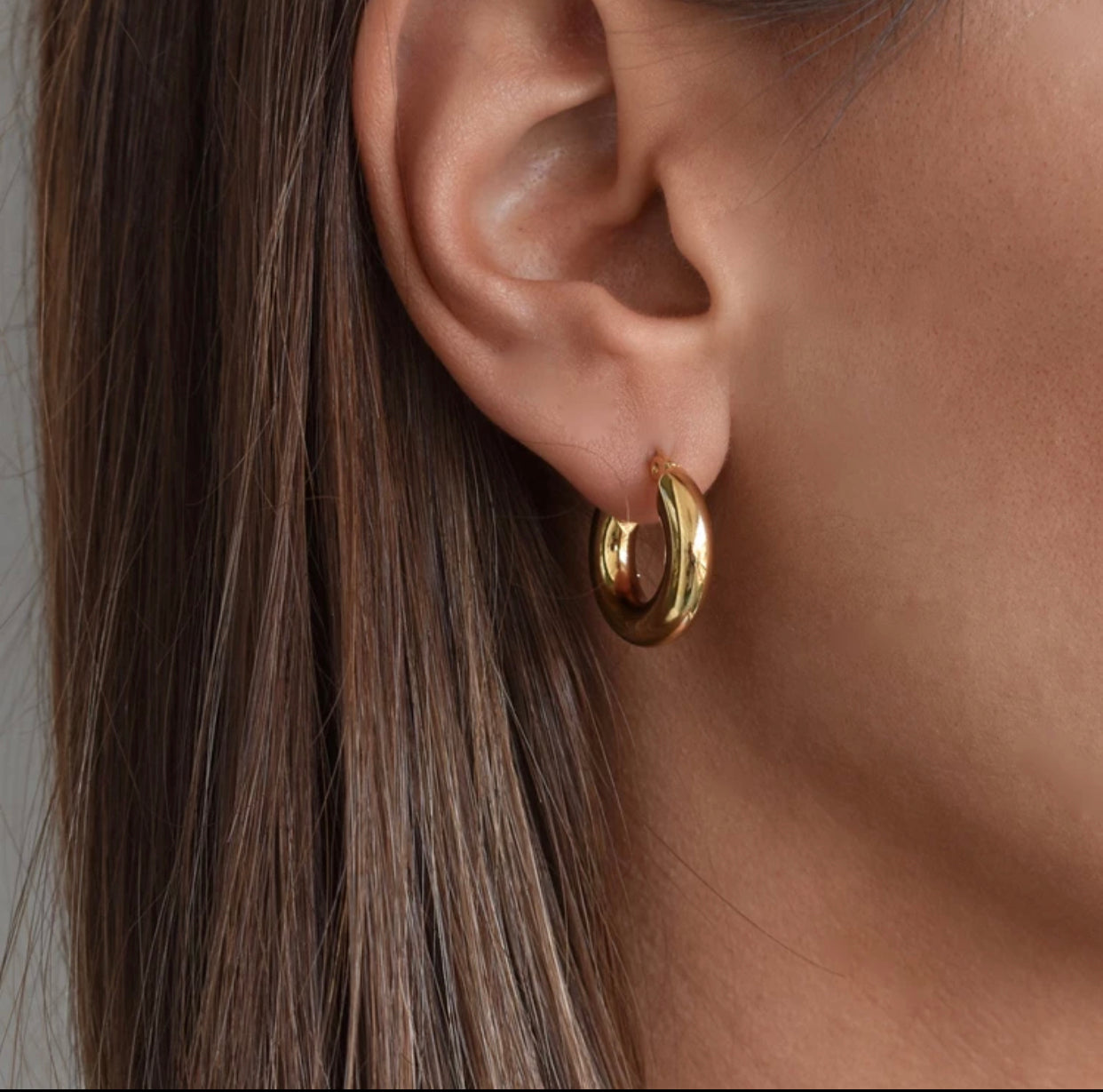 Brilliant Boston Hoop Earrings 25mm - Gold Plated